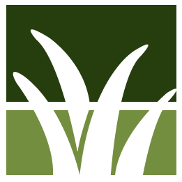 Reston Lawn Clean Up