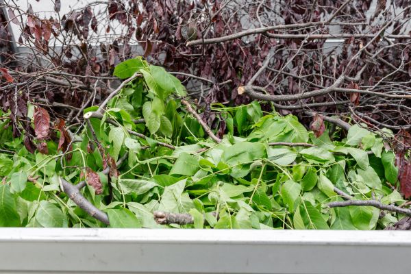 Cost of Brush Hauling in Reston