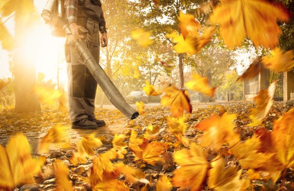 Cost of Leaf Blowing Service in Reston