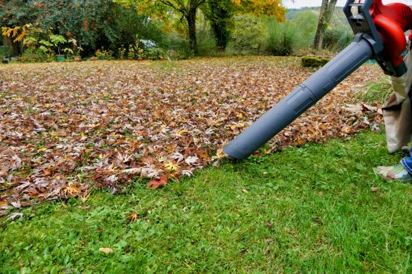 Cost of Leaf Vacuuming Service in Reston