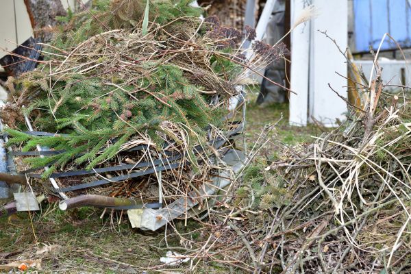 Cost of Yard Debris Removal in Reston