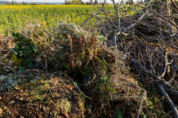 Cost of Brush Disposal in Reston