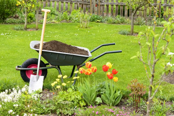 Cost of Spring Yard Cleanup in Reston