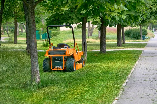 Cost of Landscaping Cleanup Service in Reston