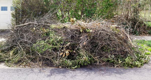 Cost of Tree Limb Cleanup in Reston