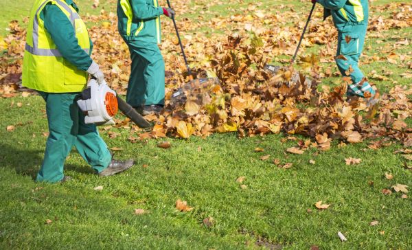 Cost of Leaf Maintenance in Reston