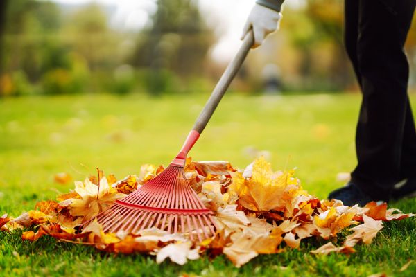 Cost of Ditch Leaf Removal in Reston
