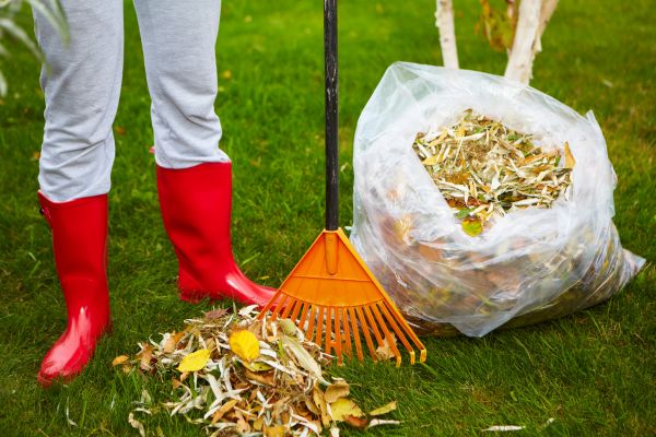 Cost of Leaf Disposal Service in Reston