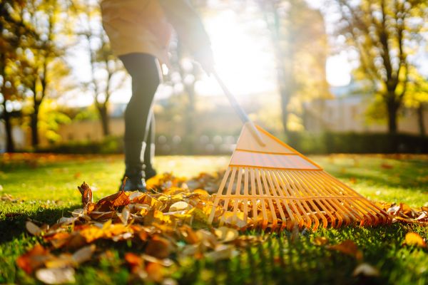 Cost of Leaves Raking in Reston
