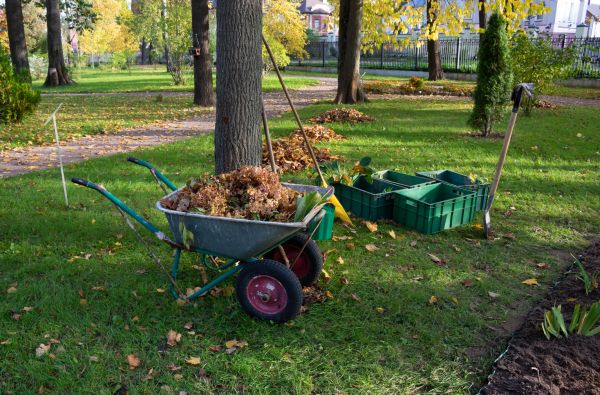 Cost of Leaf Clearing Service in Reston