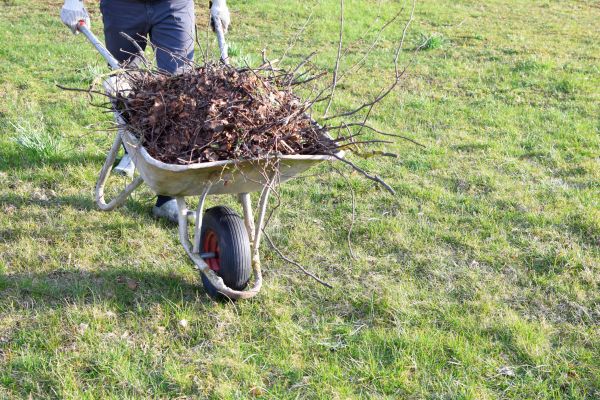 Cost of Yard Brush Removal in Reston