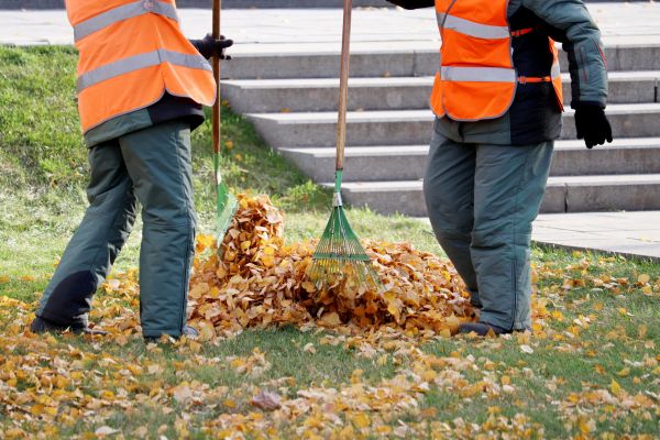 Cost of Leaf Hauling Service in Reston