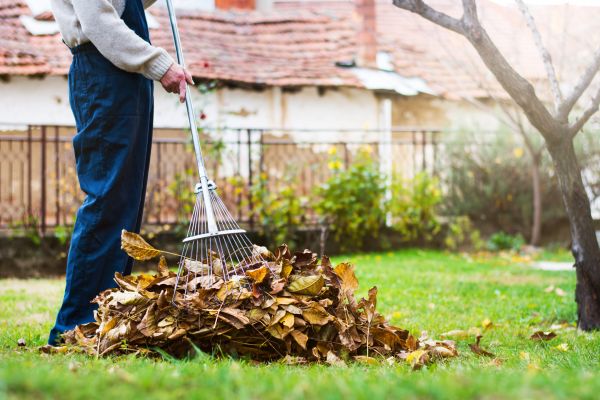 Cost of Spring Lawn Cleanup in Reston