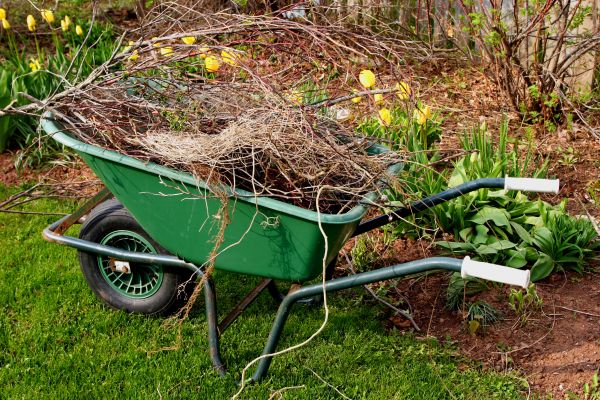 Cost of Lawn Waste Removal in Reston
