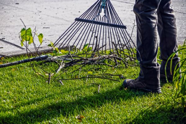 Cost of Yard Debris Cleanup in Reston