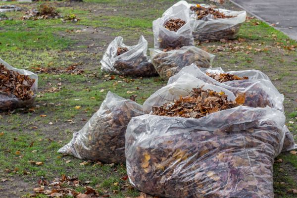 Cost of Leaf Pile Disposal in Reston