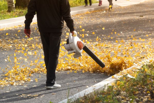 Cost of Commercial Leaf Removal in Reston