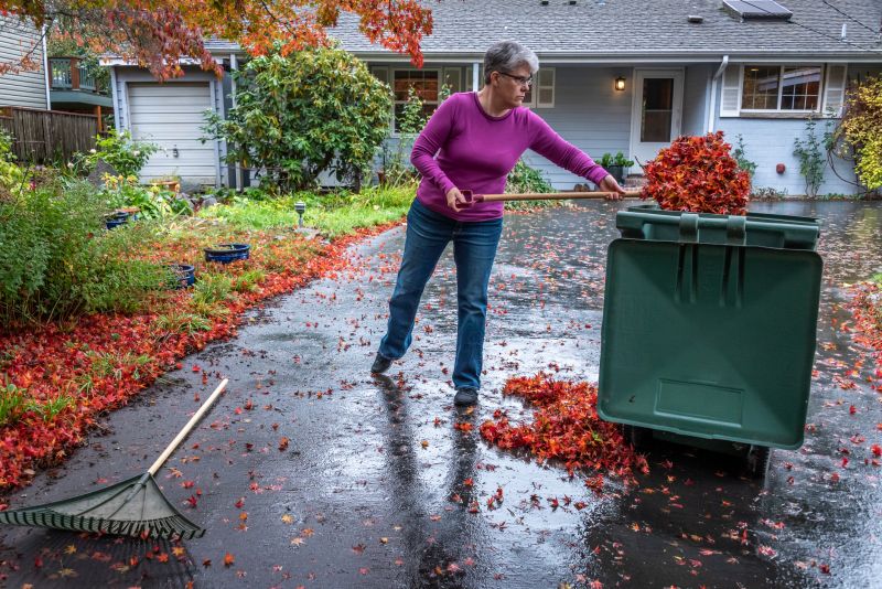 Clean Lawn in Fall